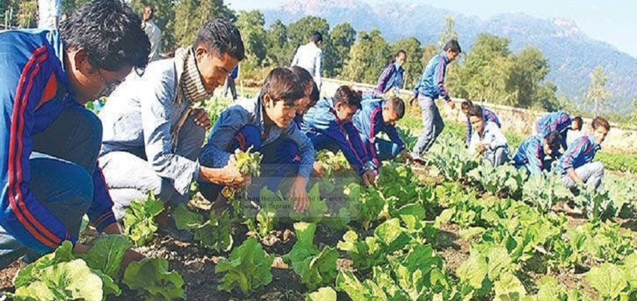 कृषि परियोजनामा जनशक्ति अभाव